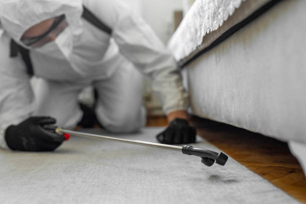Professional Cockroach Control technician working in Woodsboro, TX