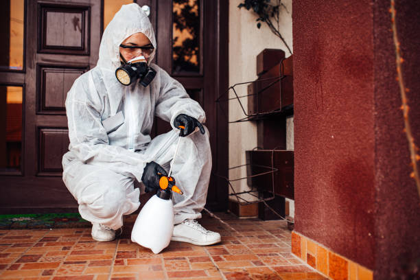 Reliable Cockroach Control contractor in Woodsboro, TX by Nex Pest Control